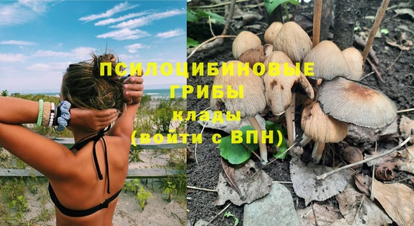 мдпв Киренск