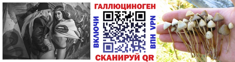 Псилоцибиновые грибы Cubensis  даркнет сайт  Сатка 